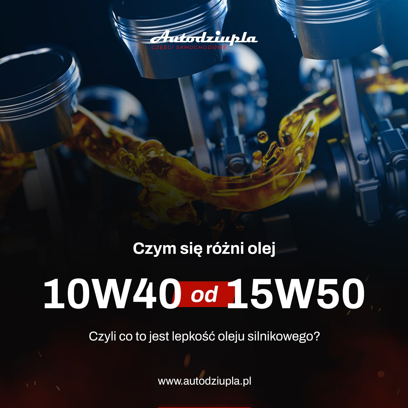 PORTFOLIO_AUTODZIUPLA_SOCIAL_MEDIA_6-min