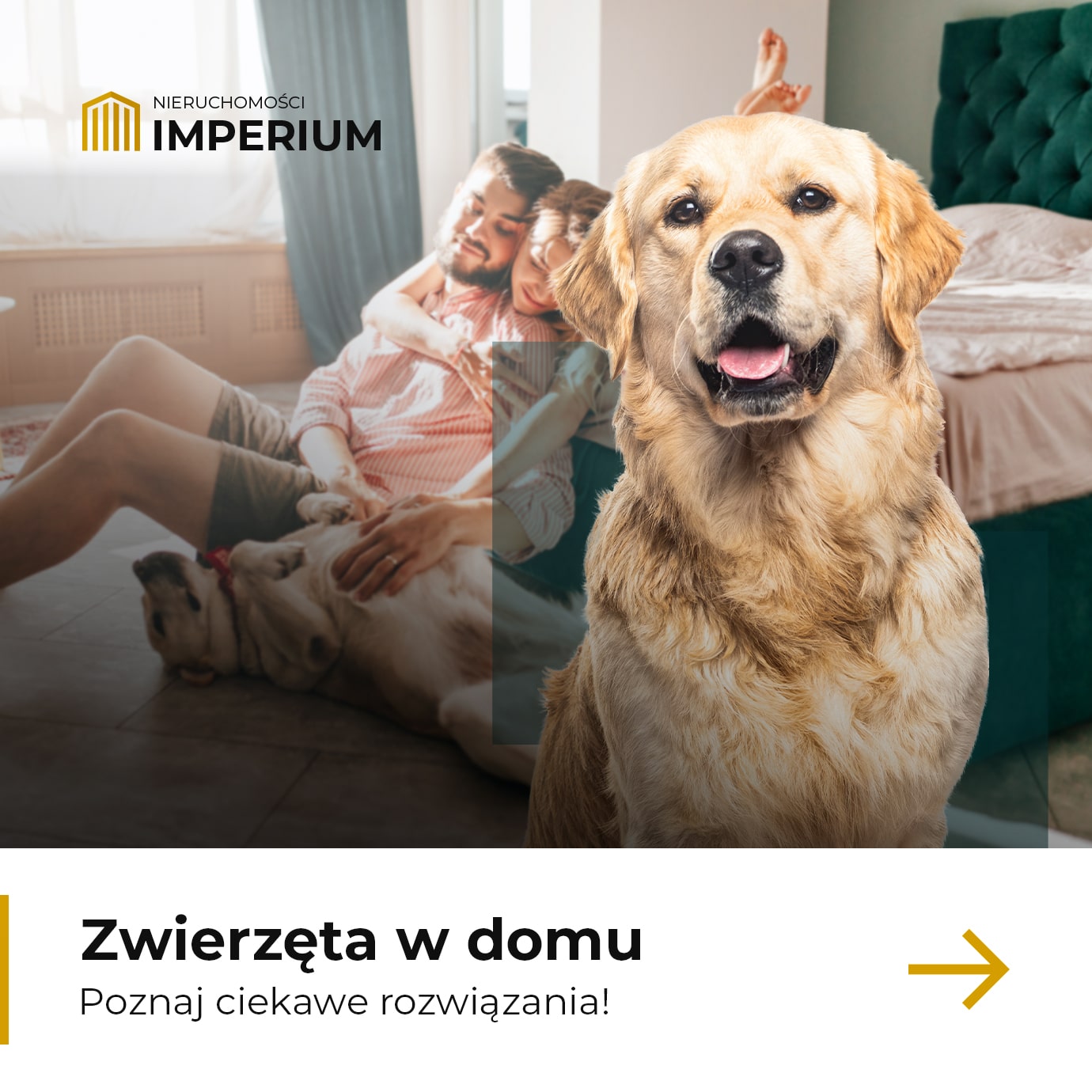 PORTFOLIO_SOCIAL_MEDIA_IMPRESIUM_2-min