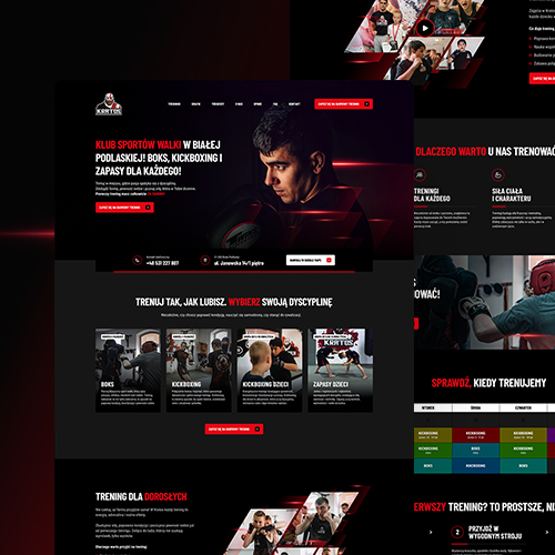 Strona internetowa – KRATOS